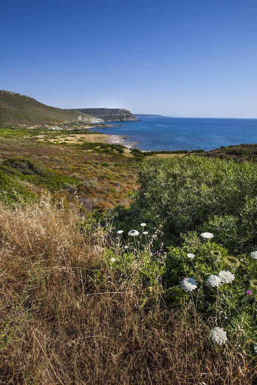 הוילה בוסה מרינה Residenza Solemar מראה חיצוני תמונה